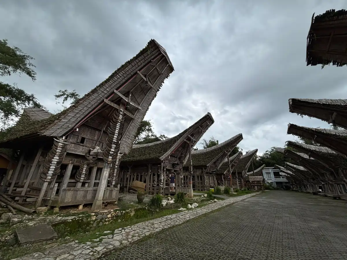 toraja-06