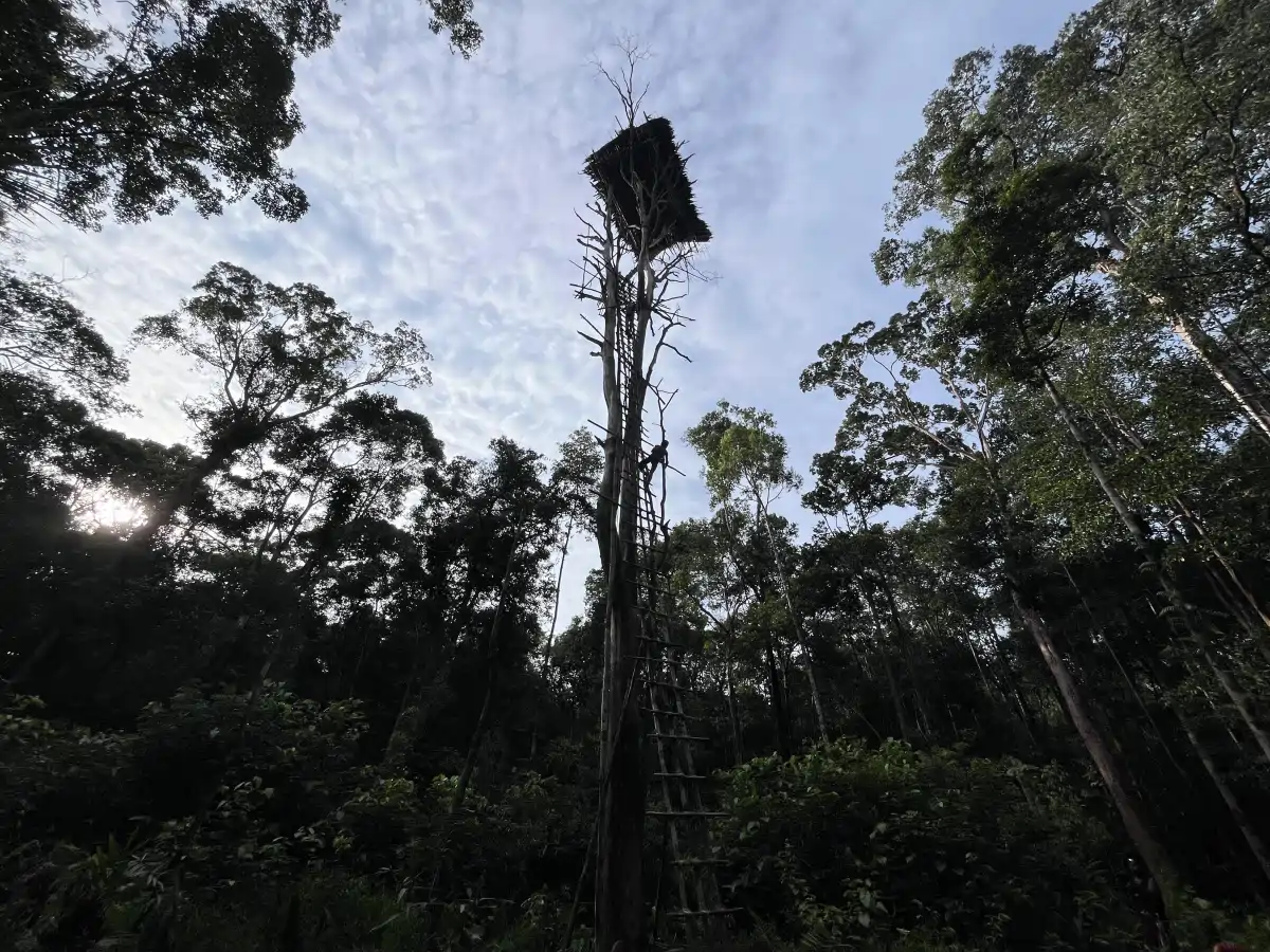 epic-papua-02