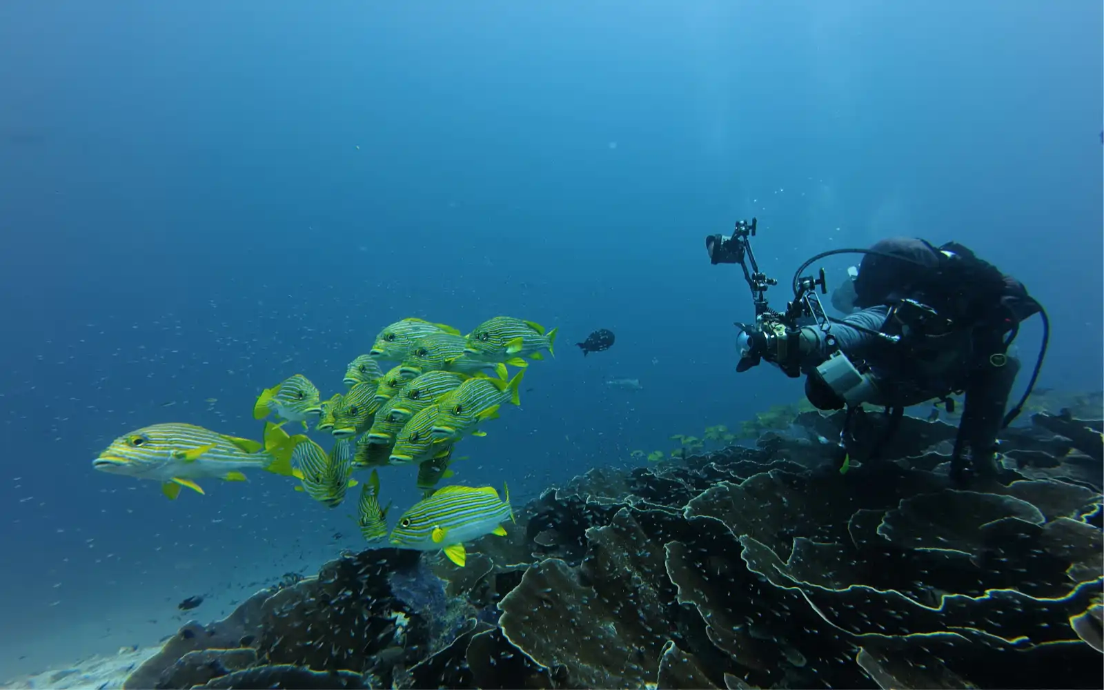 Raja Ampat — Reefs, Lagoons & Island Worlds