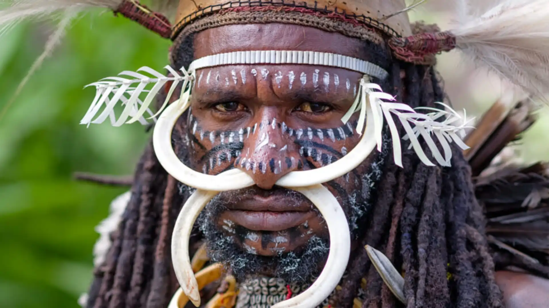 Epic Papua — Highlands, Ancestors & Living Frontiers