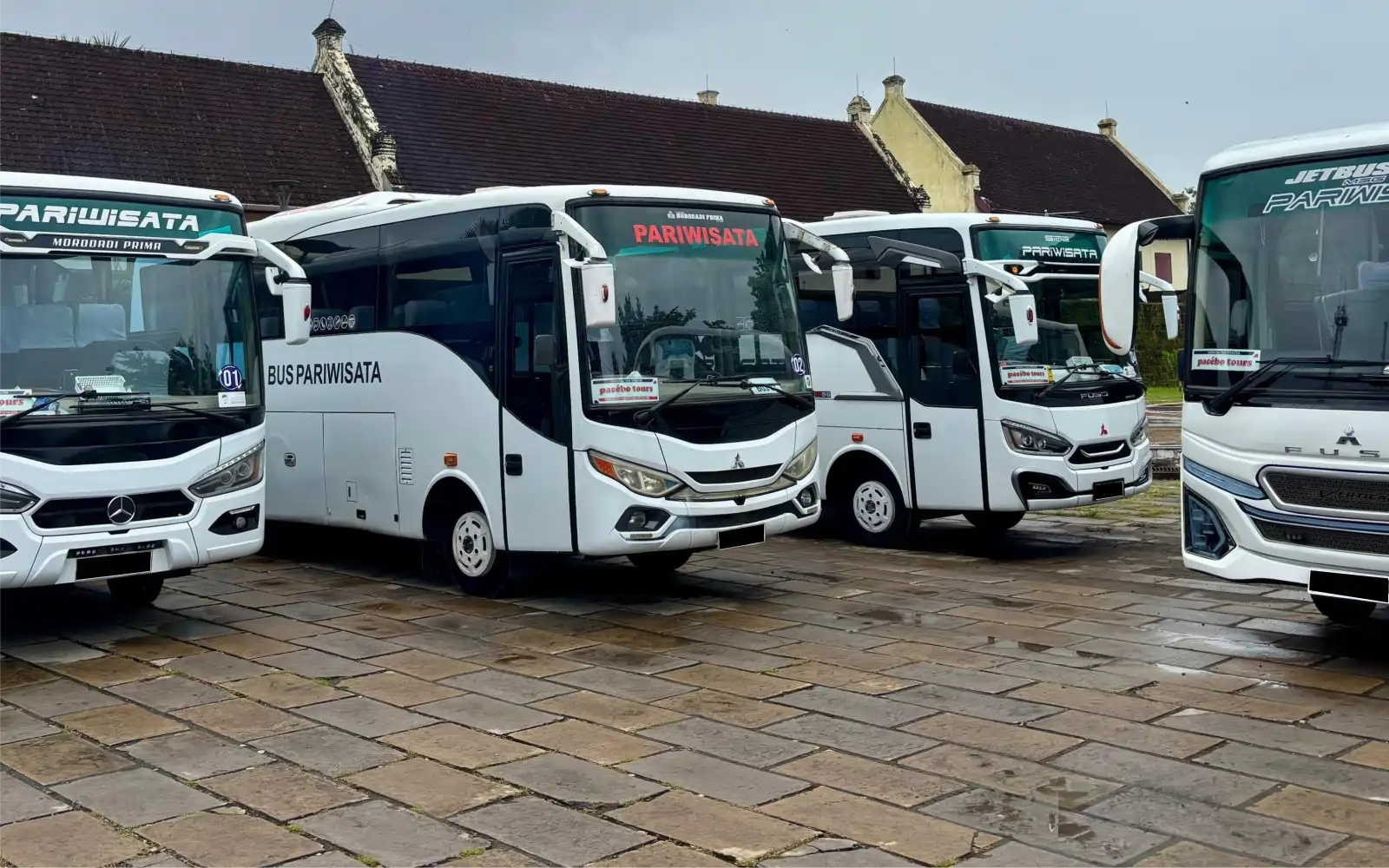Harga Sewa Bus Pariwisata Makassar 2026 | Mulai 1 Juta