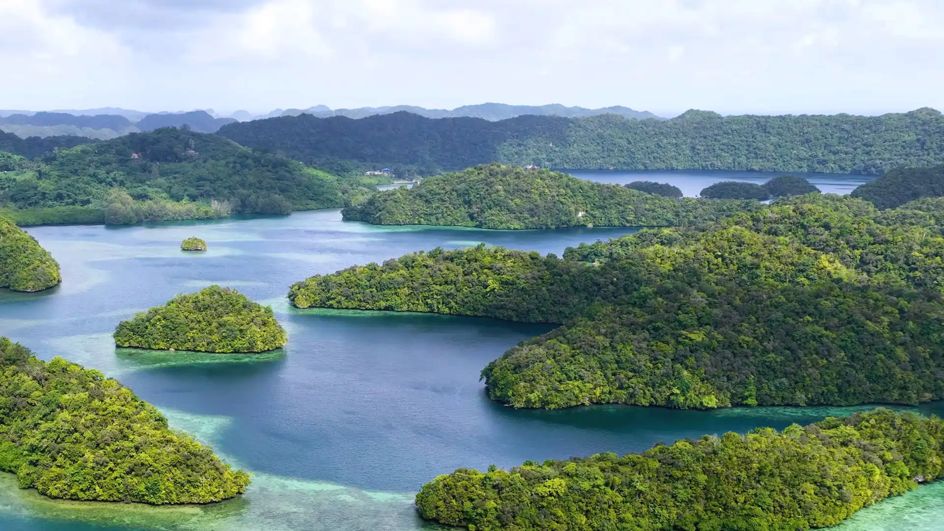 Paket Wisata Raja Ampat 4 Hari 3 Malam