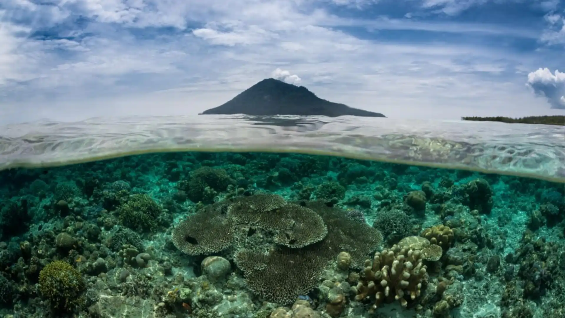Paket Wisata Manado 4 Hari 3 Malam